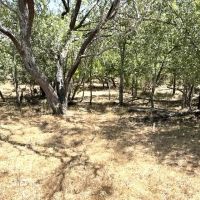Lot 1 Turkeyfoot Ln images 2