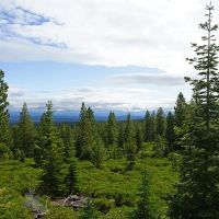 Bull Springs Skyline Forest images 4