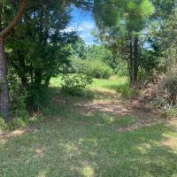 LA - Lincoln 36 acres - images 2