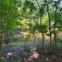 LA - Lincoln 36 acres - images 5