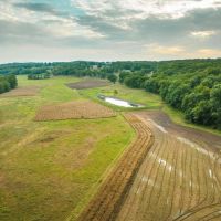 Knobby Creek Lane Edwards MO. images 3