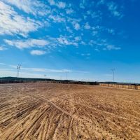 610 - Acres with 3 Homes Indoor pool Arena High fenced Excellent Horse Facilities images 5