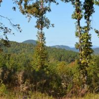 - 117.58 Acres - Beautiful Acreage with Incredible views of Table Rock images 5