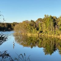 185 Acres Of Beautiful Recreational or Residential lots Split Opportunity images 3