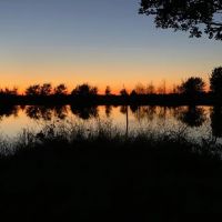 185 Acres Of Beautiful Recreational or Residential lots Split Opportunity images 4