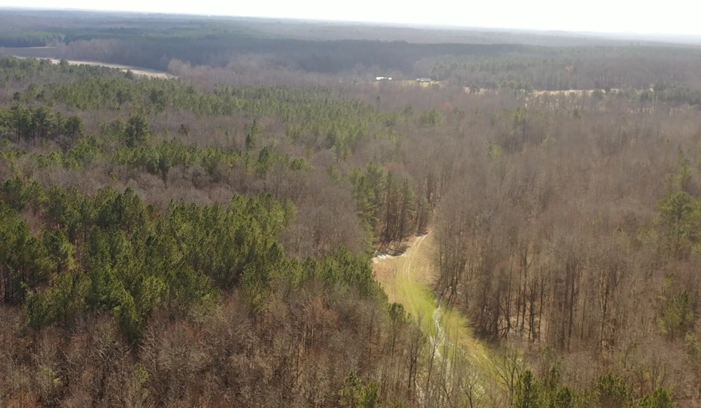 Carroll County TN 175 Acres featured image