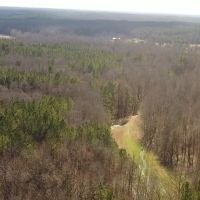 Carroll County TN 175 Acres