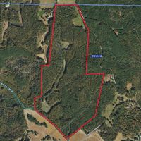 Carroll County TN 175 Acres images 2