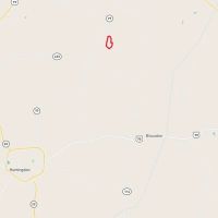 Carroll County TN 175 Acres images 3