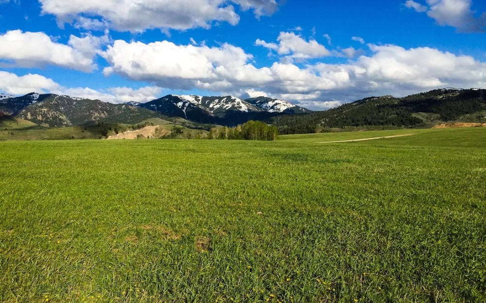 Ross Plateau featured image