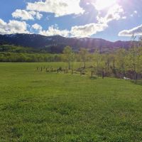 Ross Plateau images 4