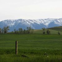 Beartooth Overlook images 3