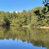 - 30.937 Acres - Wooded Acreage with Pond - 519 Deadfall Road W. Greenwood SC 29649 images 3