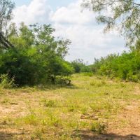 Guajillo Ranch images 4