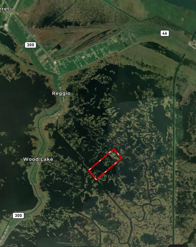 LA - St. Bernard Parish 160 acres - featured image