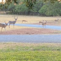 Back on Market 86.6 - Acres Home Brown County images 3