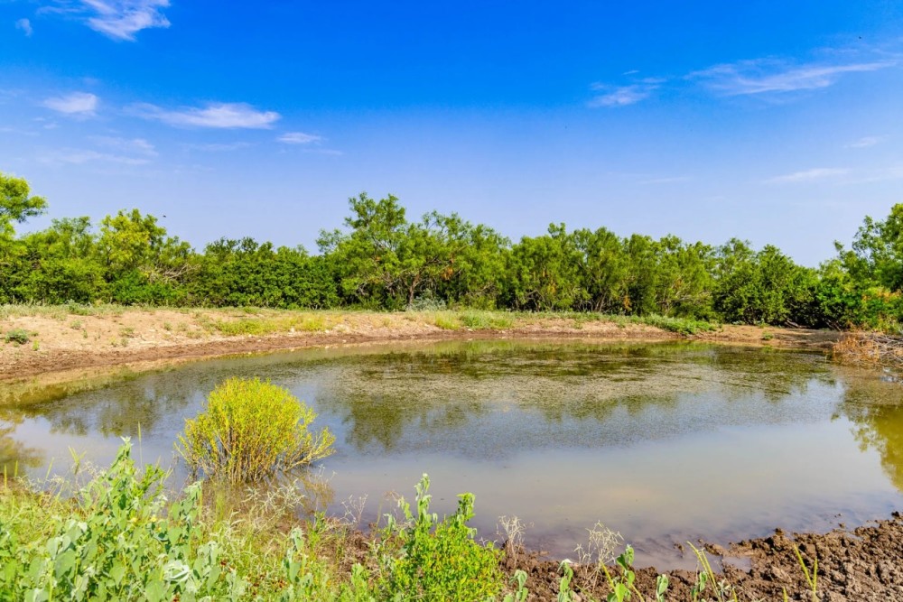 Silver Lake Ranch featured image