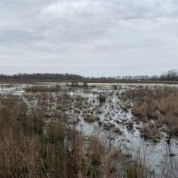 X Flyway 40 - adjoining Cache River NWR images 2