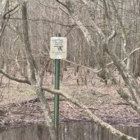 X Flyway 40 - adjoining Cache River NWR images 3