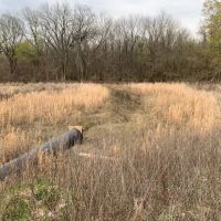 X Flyway 40 - adjoining Cache River NWR images 4