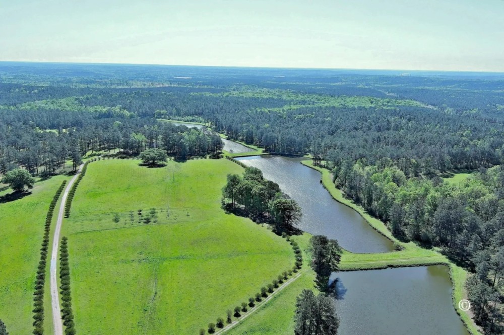 Circle N Farm featured image