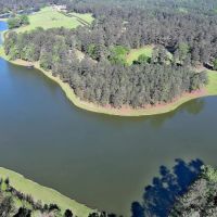Circle N Farm images 2