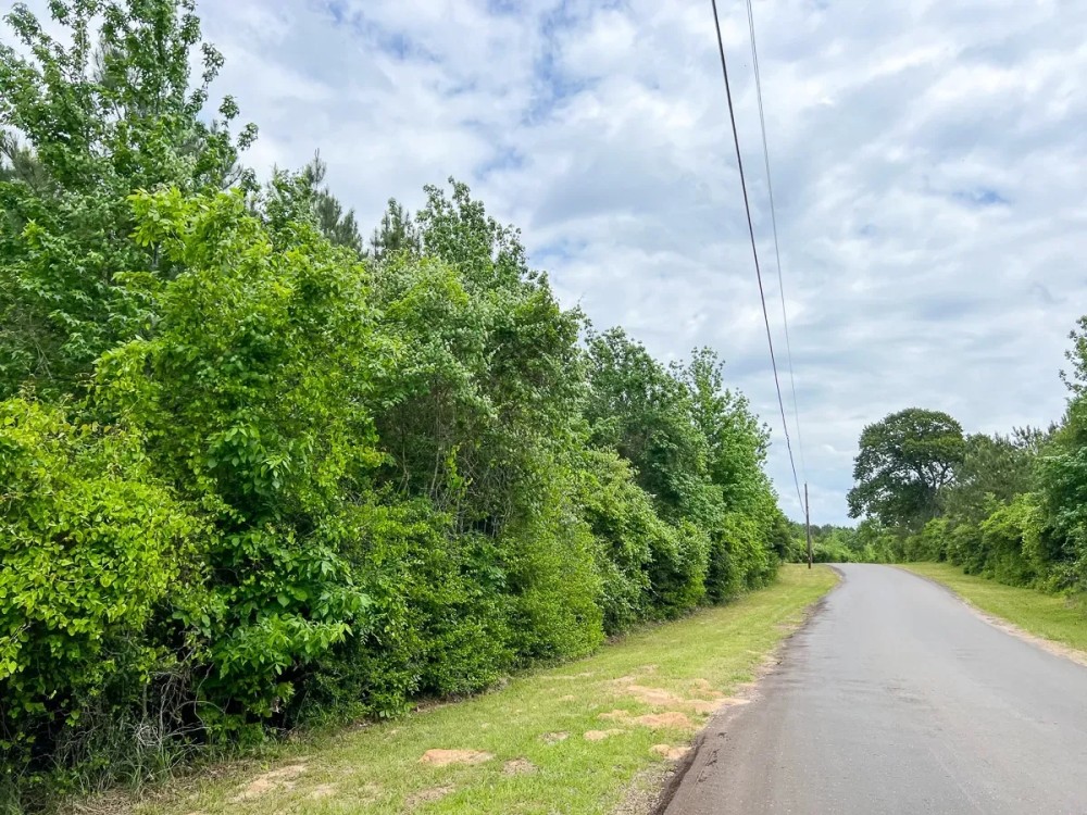 38 Acres T-4 CR 2145 featured image