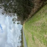 264 acres Recreational Land in Panama City FL images 2