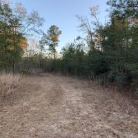 264 acres Recreational Land in Panama City FL images 4