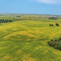Sunny Valley Farm 1 050 acres in Kendall County IL images 5