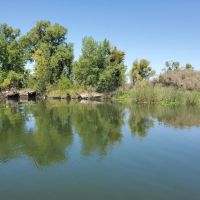 Hog Island Recreation Facility Offering