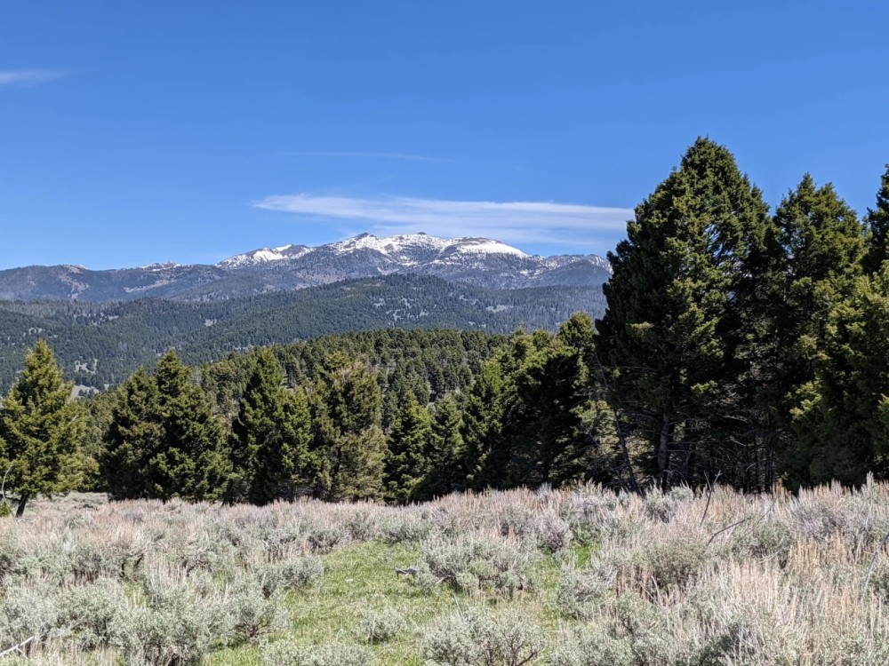 TBD Bivens Creek Ridge Road Sheridan MT 59749 featured image