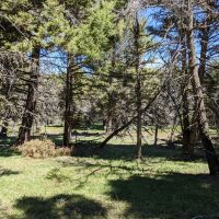 TBD Bivens Creek Ridge Road Sheridan MT 59749 images 4