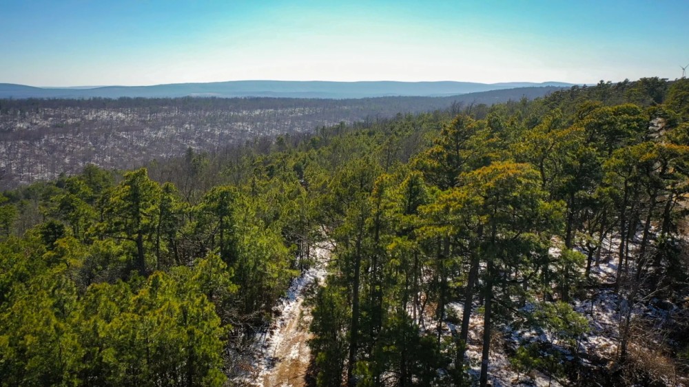 Recreational Land In Kiamichi Mountains For Sale SE Oklahoma featured image