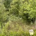 AR - Desha 327 acres - featured image