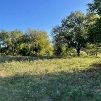 New Listing 164.52 - Acres Eastland County images 5