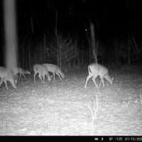 Recreational Property in Clinton CO. images 5