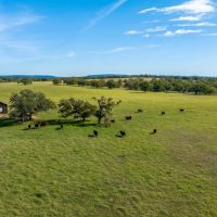 4J Ranch images 3
