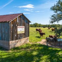 4J Ranch images 4