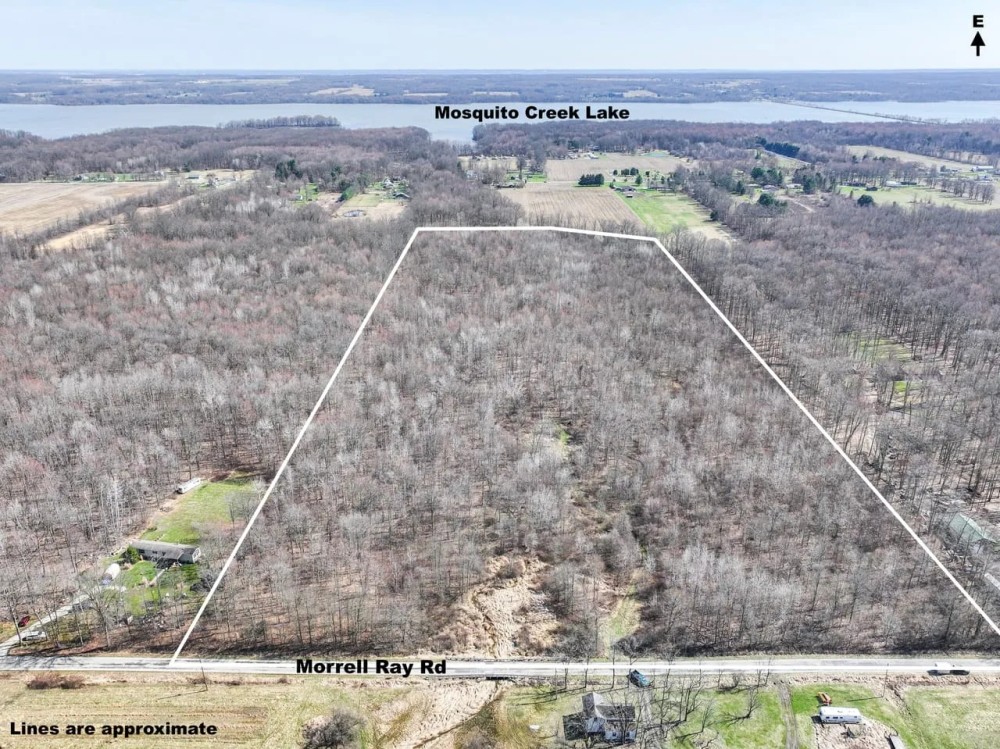 Auction - 37.4 acres - Trumbull County featured image