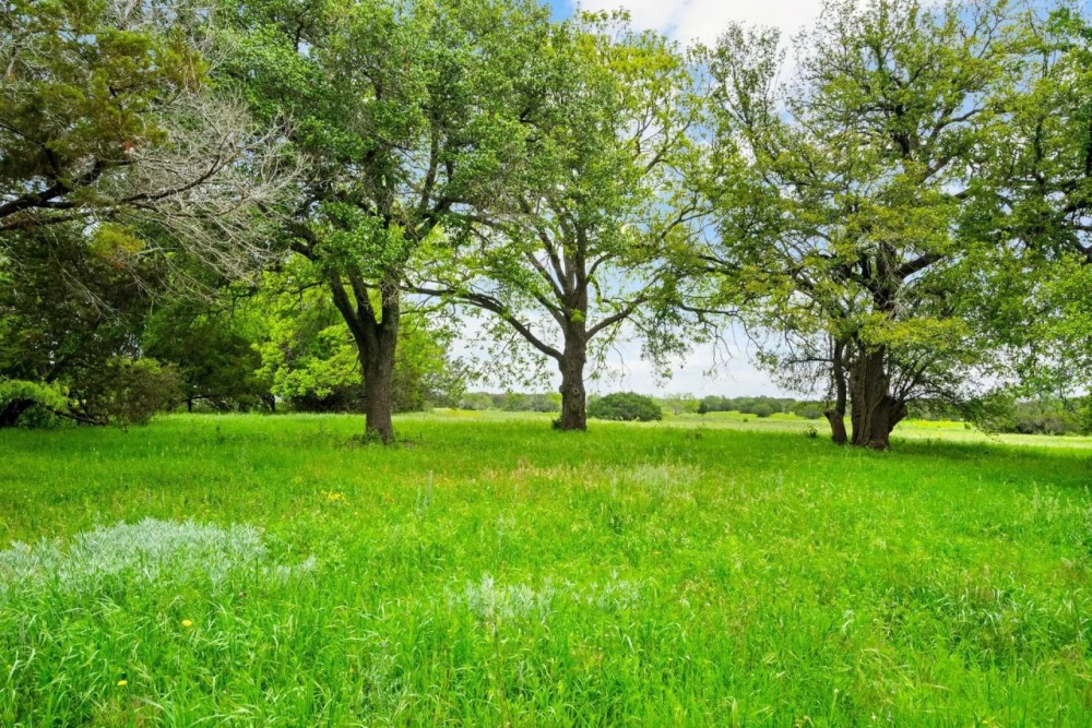 TBD CR 215 Unit 5 Hico Texas 76457 featured image