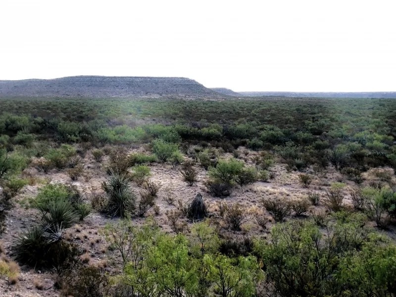 Hunting Ranch in Upton County featured image