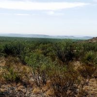 Hunting Ranch in Upton County images 3