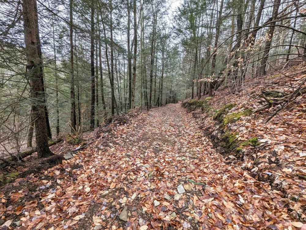 19 acres Hunting Land and Recreational Land in Hornby NY Wilson Hollow Rd featured image