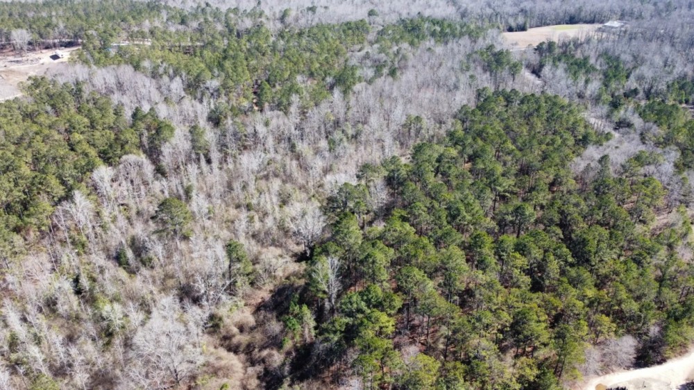 14 Acres Lee County AL featured image