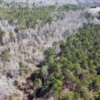 14 Acres Lee County AL images 1