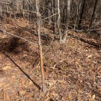 14 Acres Lee County AL images 4