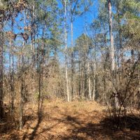 14 Acres Lee County AL images 5