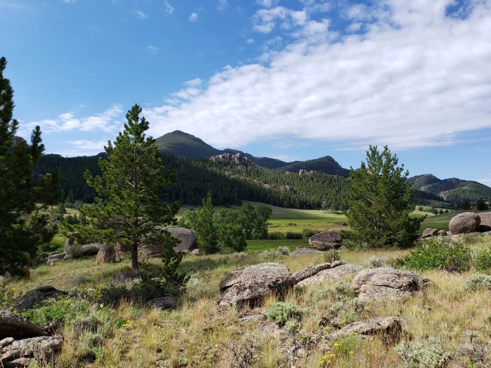 Arrowhead Ranch featured image