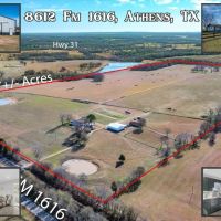8612 FM 1616 images 1